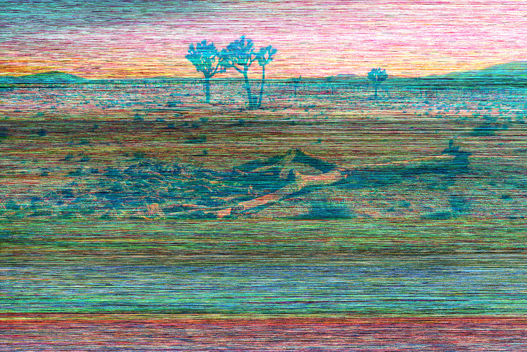 Joshua_Tree_2018-08369_CMYK_PSB_glitched_v2_1800px