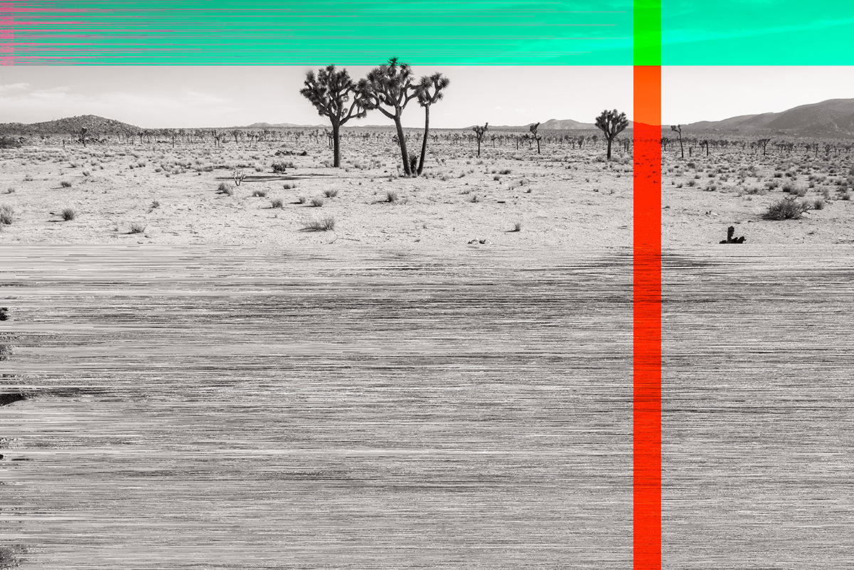 Joshua_Tree_hack_1_KP