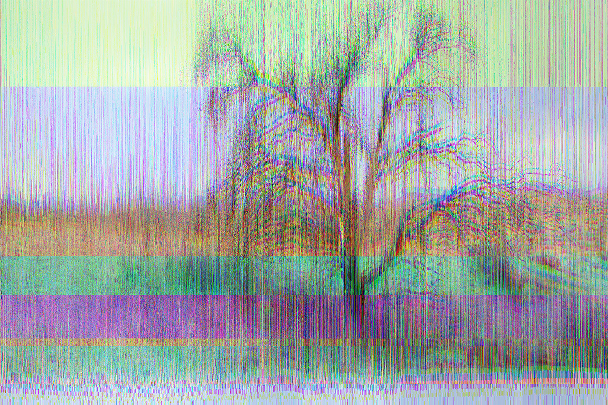 Joshua_Tree_hack_4_KP
